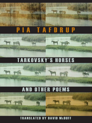 cover image of Tarkovsky's Horses and other poems